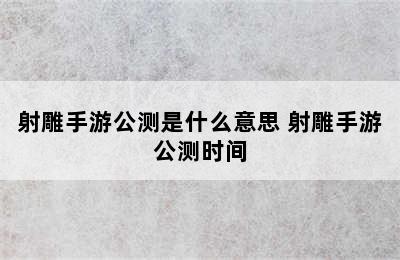 射雕手游公测是什么意思 射雕手游公测时间